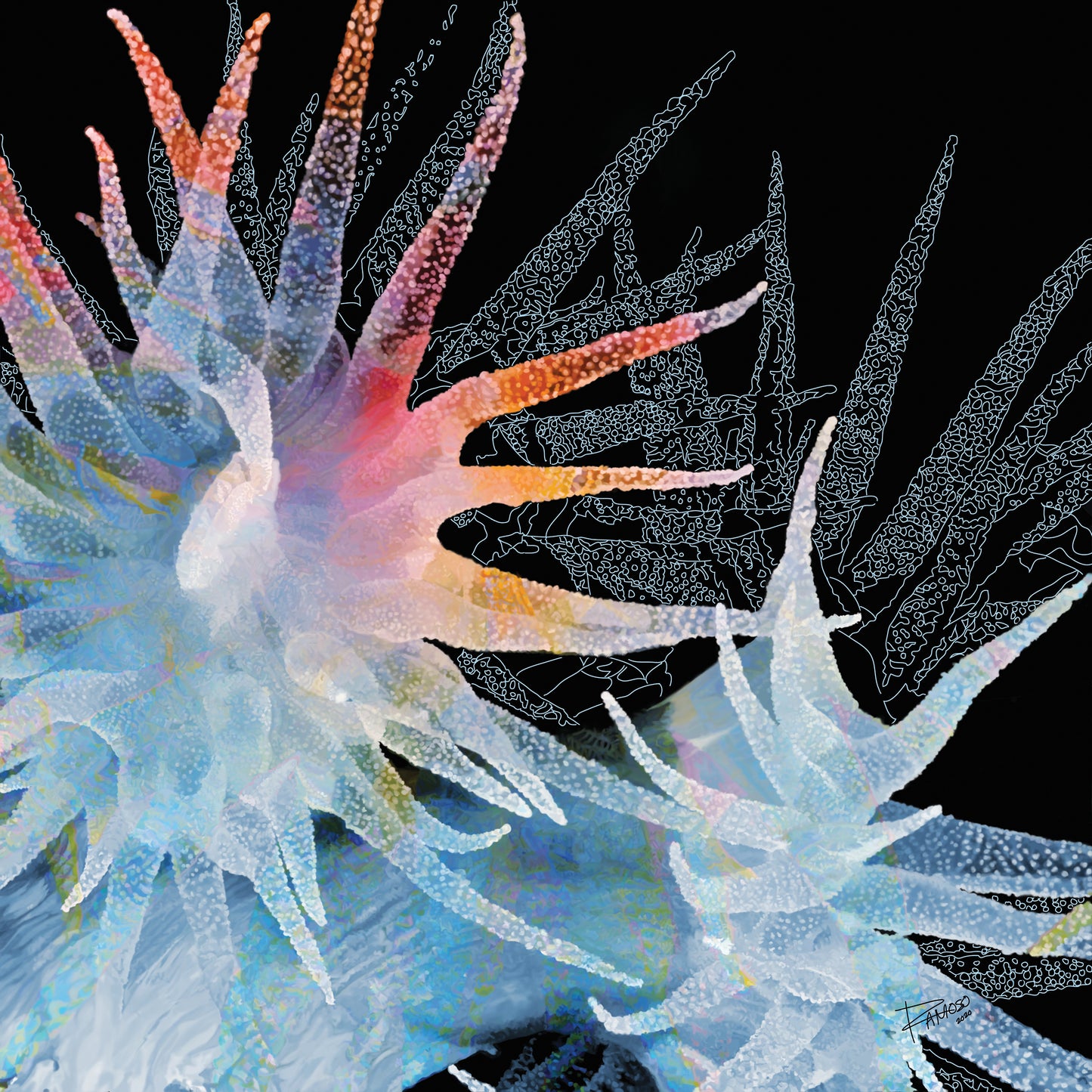 Flowers of the Sea