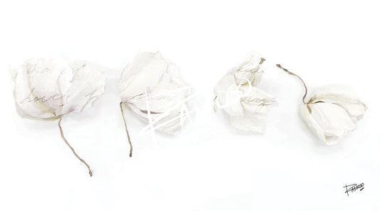 In Memoriam Limited Edition Print or Digital File