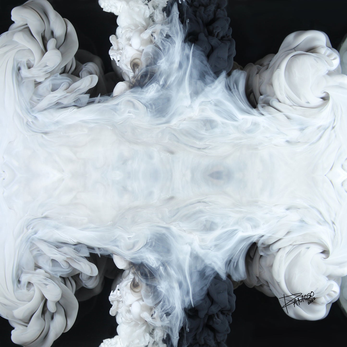 Nucleus