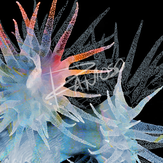 Flowers of the Sea